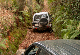 Extreme Off Road 4x4